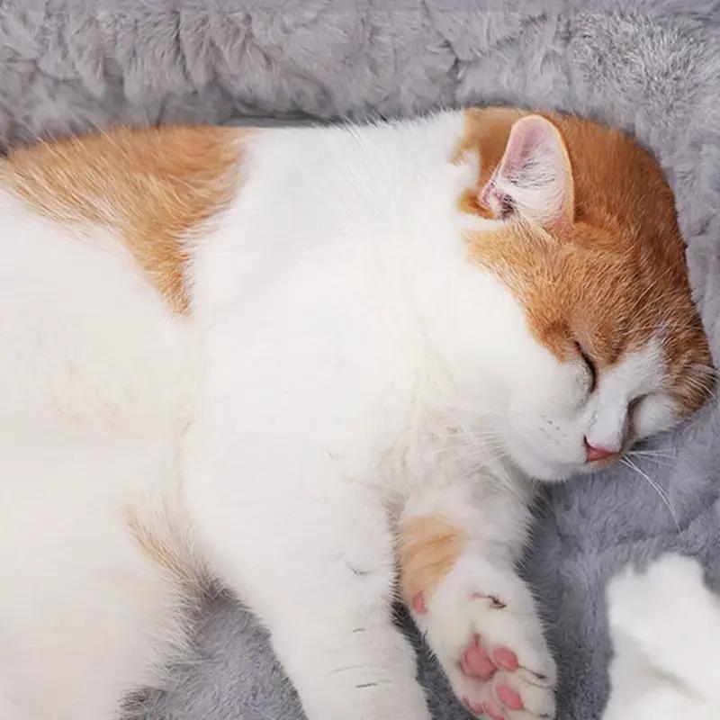 HOOPET Cat Bed House Soft Plush Kennel Puppy Cushion Small Dogs Cats Nest Winter Warm Sleeping Pet Dog Bed Pet Mat Supplies by eprolo