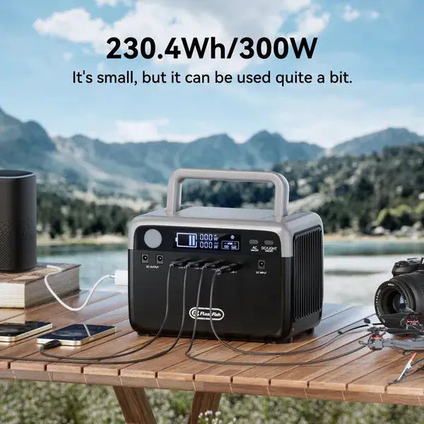 Flashfish 300W Power Station + 60W Solar Panel 230.4Wh LiFePO4 (Peak 600W) Solar Generator AC Outlets Portable Power Station,Power Bank, Battery Backup For Hurricane Emergency/Outdoor Camping by S.H.WS Essentials