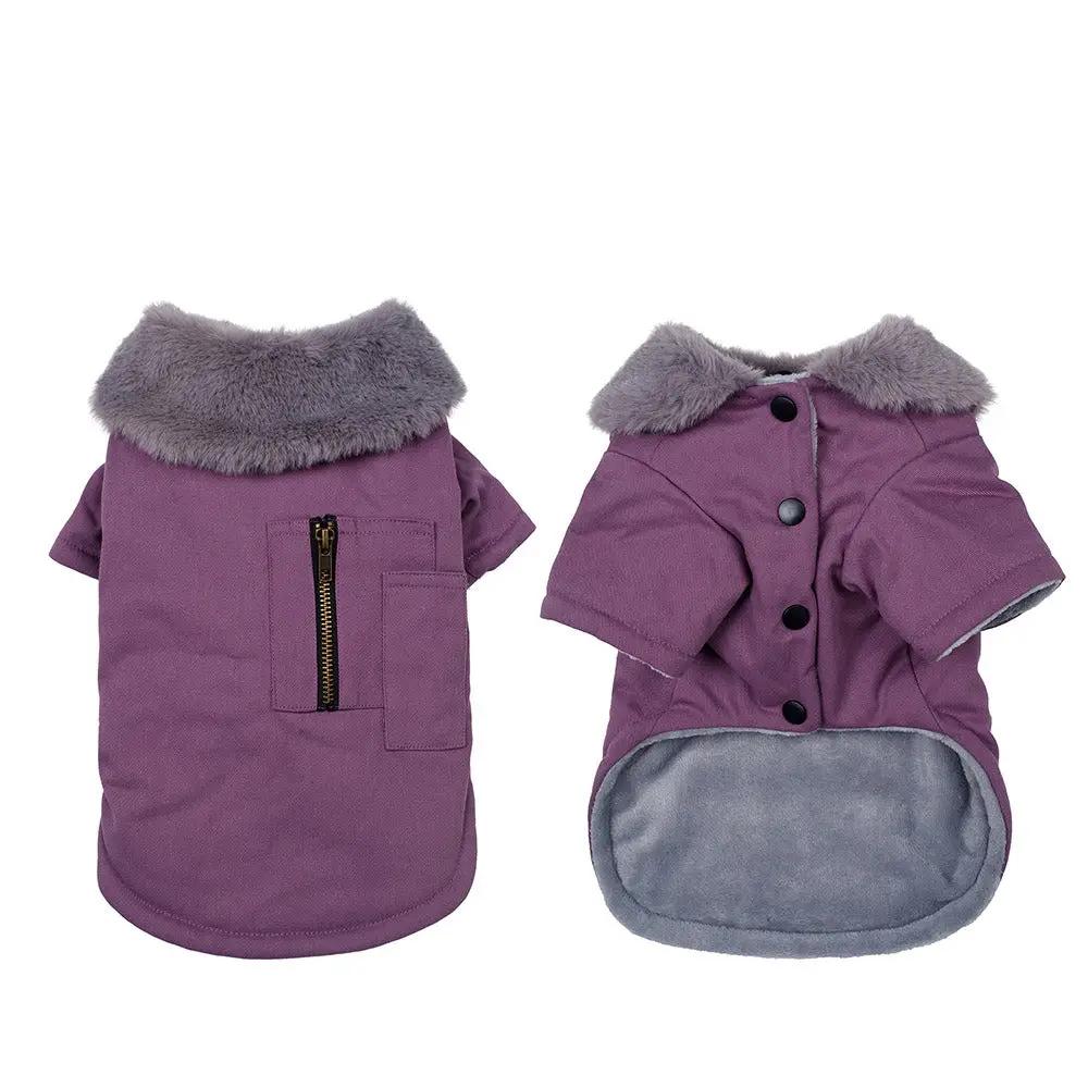Pet Dog Clothes Warm and Thickened Autumn and Winter Two legged Teddy Bears Pomeranian Schnauzer Small Dog Vest by eprolo