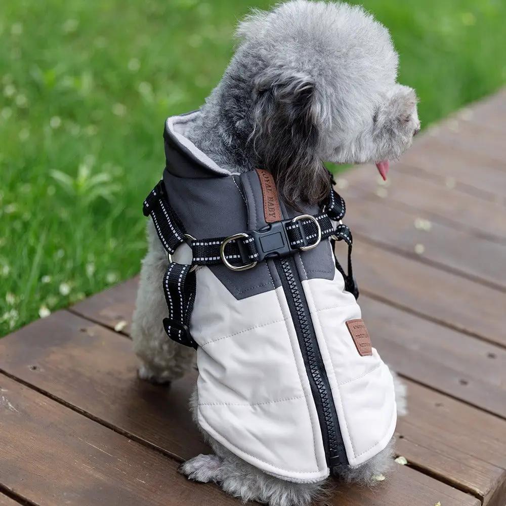 Pet Dog Clothes Warm and Thickened Autumn and Winter Two legged Teddy Bears Pomeranian Schnauzer Small Dog Vest by eprolo